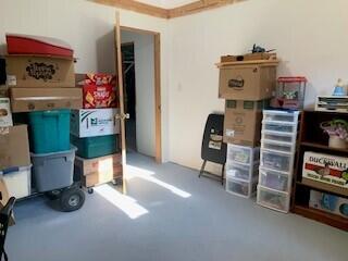 6750 West McBrides Road Lakeview, MI 48850 - Photo 15 of 48 Basement 3