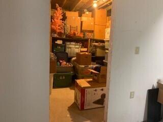 6750 West McBrides Road Lakeview, MI 48850 - Photo 18 of 48 Basement 6