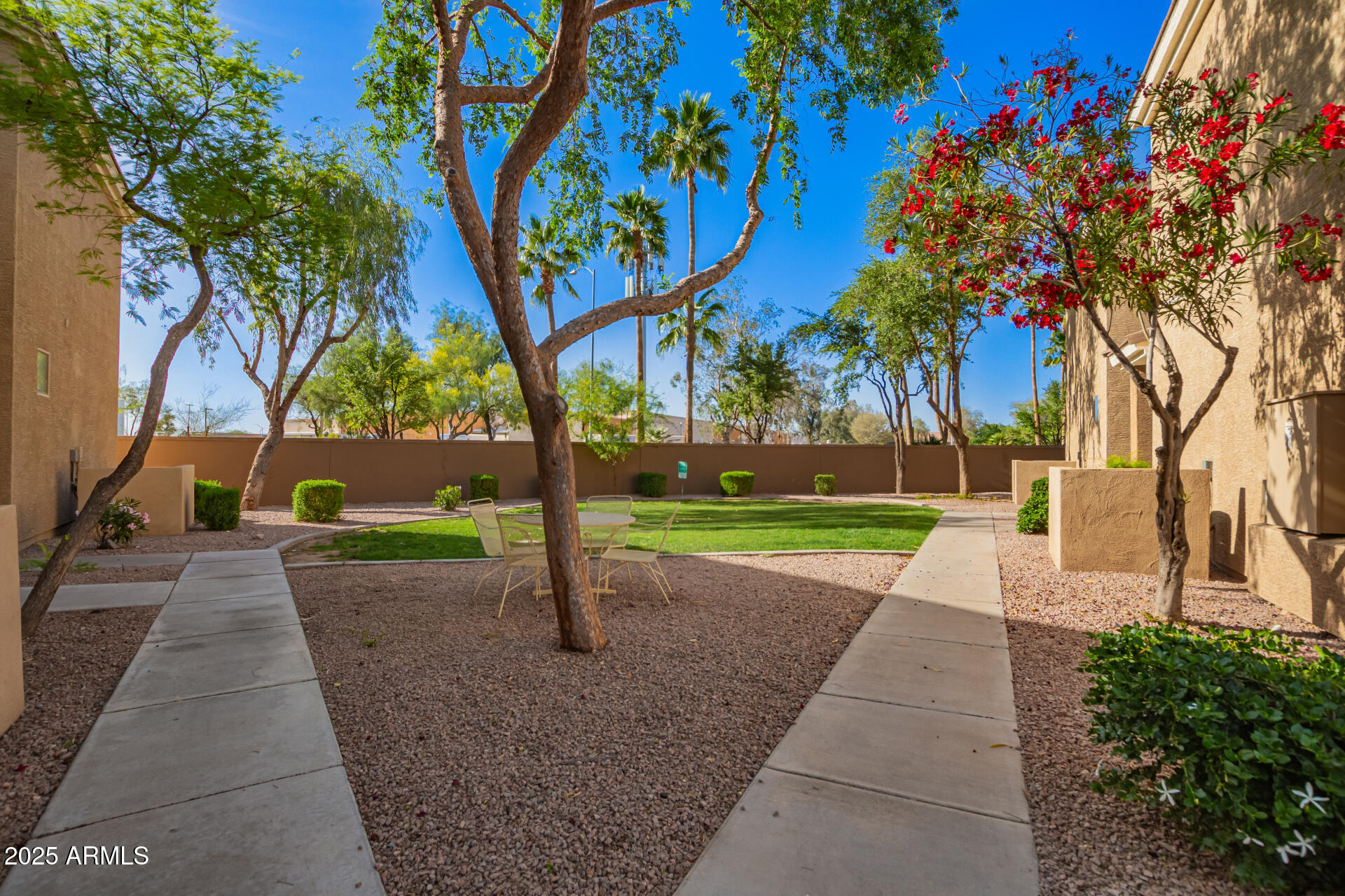 1335 East June Street, Unit 239 Mesa, AZ 85203 - Photo 30 of 34 a street view with a yard