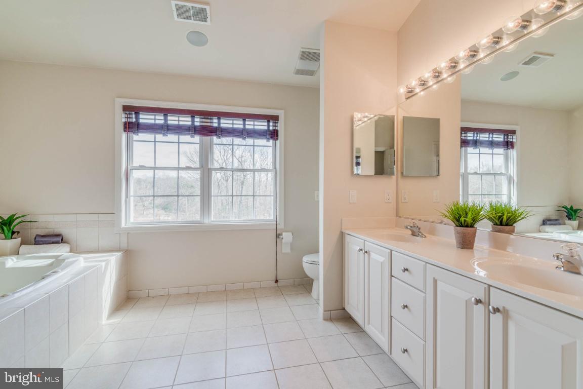 14420 Crawleys Dam Road Goldvein, VA 22720 - Photo 24 of 29 Spacious master bath