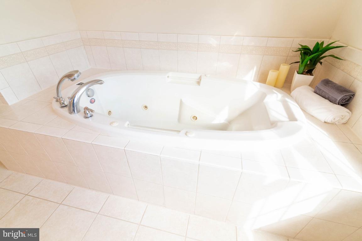 14420 Crawleys Dam Road Goldvein, VA 22720 - Photo 25 of 29 Relax in the jetted tub
