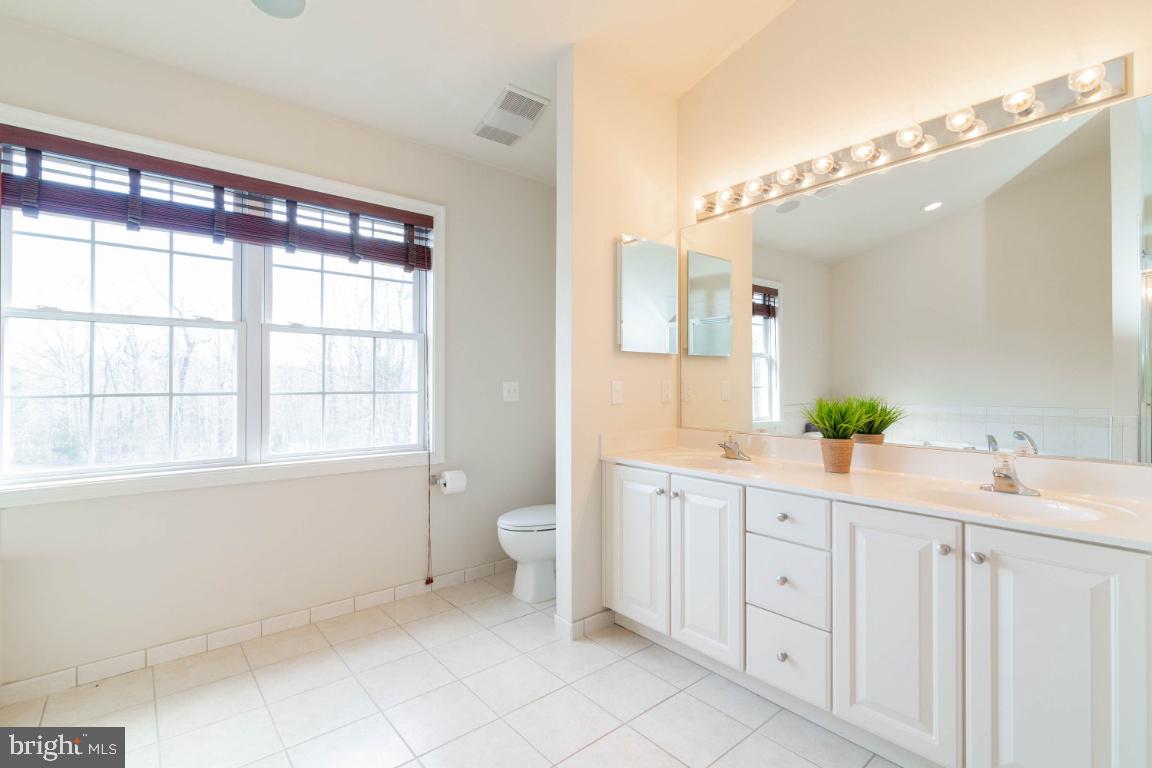 14420 Crawleys Dam Road Goldvein, VA 22720 - Photo 8 of 29 Dual sinks in master bath