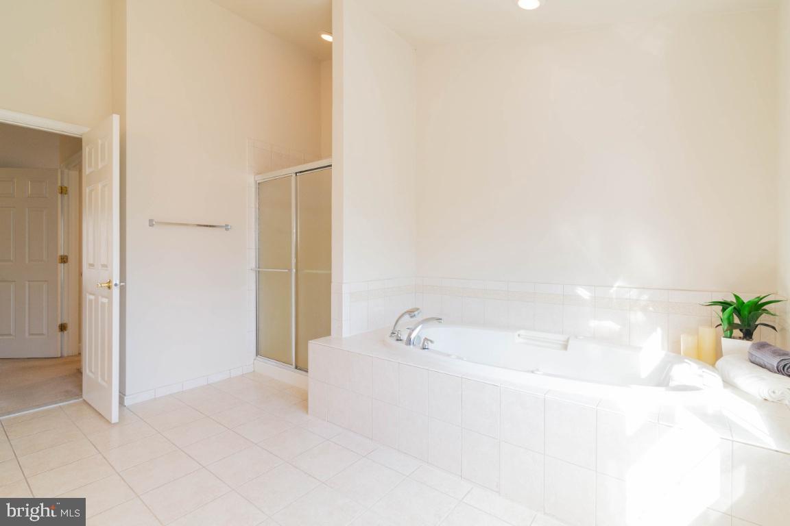 14420 Crawleys Dam Road Goldvein, VA 22720 - Photo 9 of 29 Separate shower and tub in master bath