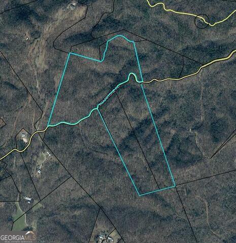 0 Soapstone Road Baldwin, GA 30511 - Photo 1 of 14