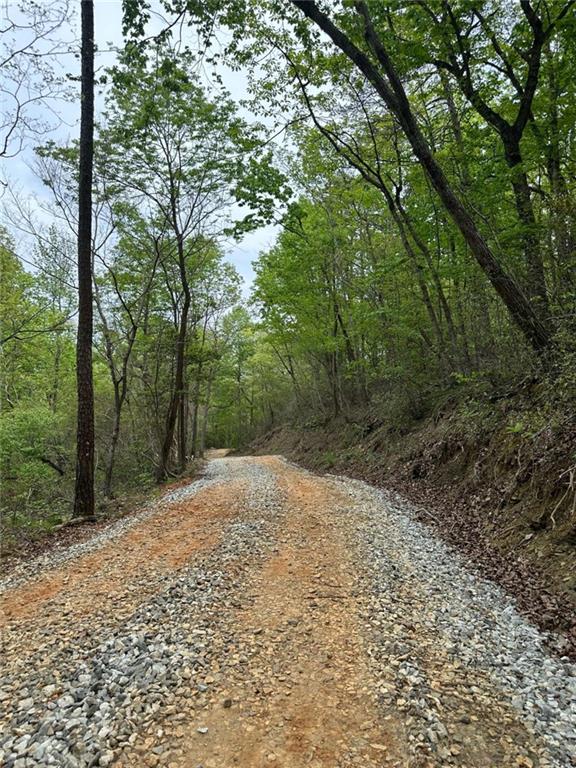 0 Soapstone Road Baldwin, GA 30511 - Photo 14 of 14 a view of a yard with trees