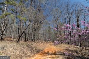0 Soapstone Road Baldwin, GA 30511 - Photo 2 of 14 a view of a backyard of the house