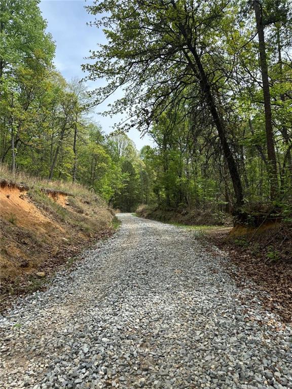 0 Soapstone Road Baldwin, GA 30511 - Photo 3 of 14 a view of a yard with plants and large trees