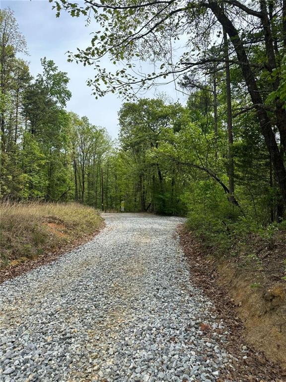 0 Soapstone Road Baldwin, GA 30511 - Photo 5 of 14 a view of a yard with plants and a tree