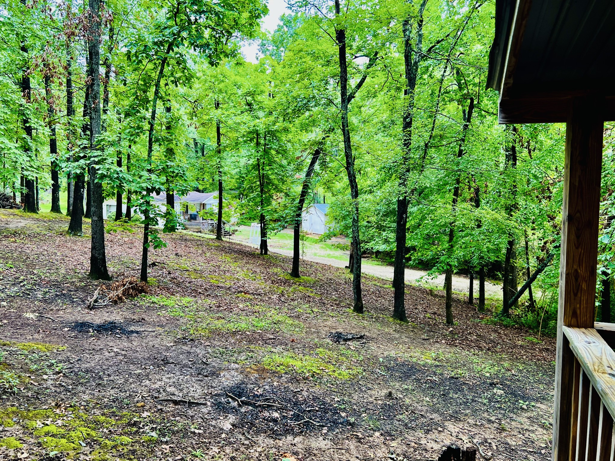 97 Rustling Oaks Lane Springville, TN 38256 - Photo 5 of 21 Gallery Image 5