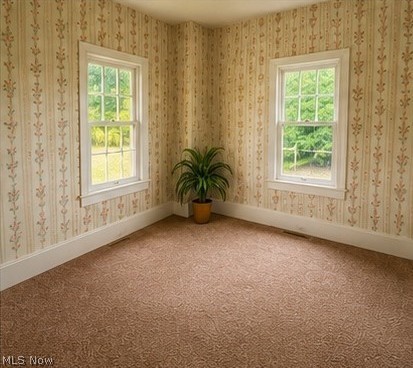 5278 River Road Madison, OH 44057 - Photo 32 of 33 Gallery Image 32