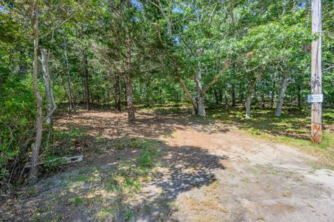 a view of outdoor space with trees all around