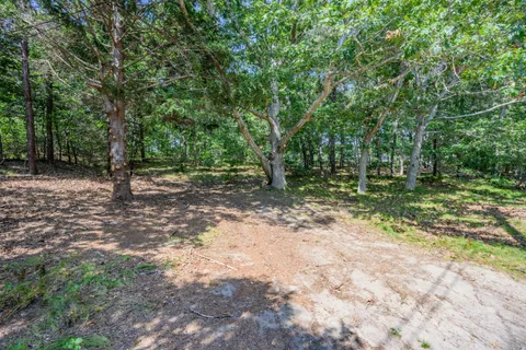 a view of outdoor space with trees all around