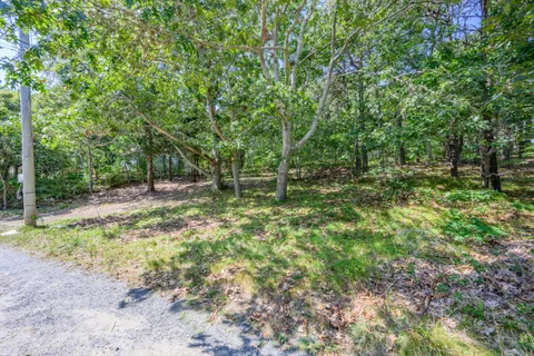 a backyard of a house with lots of green space