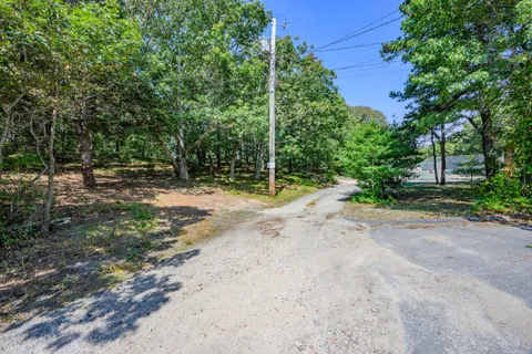 a view of a road with plants and trees
