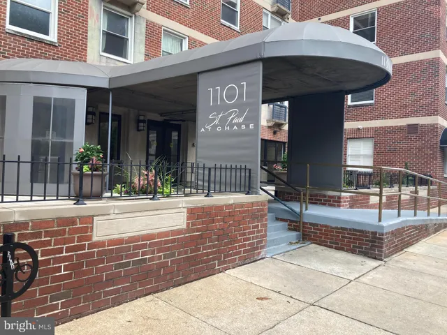 a view of a building with a potted plant
