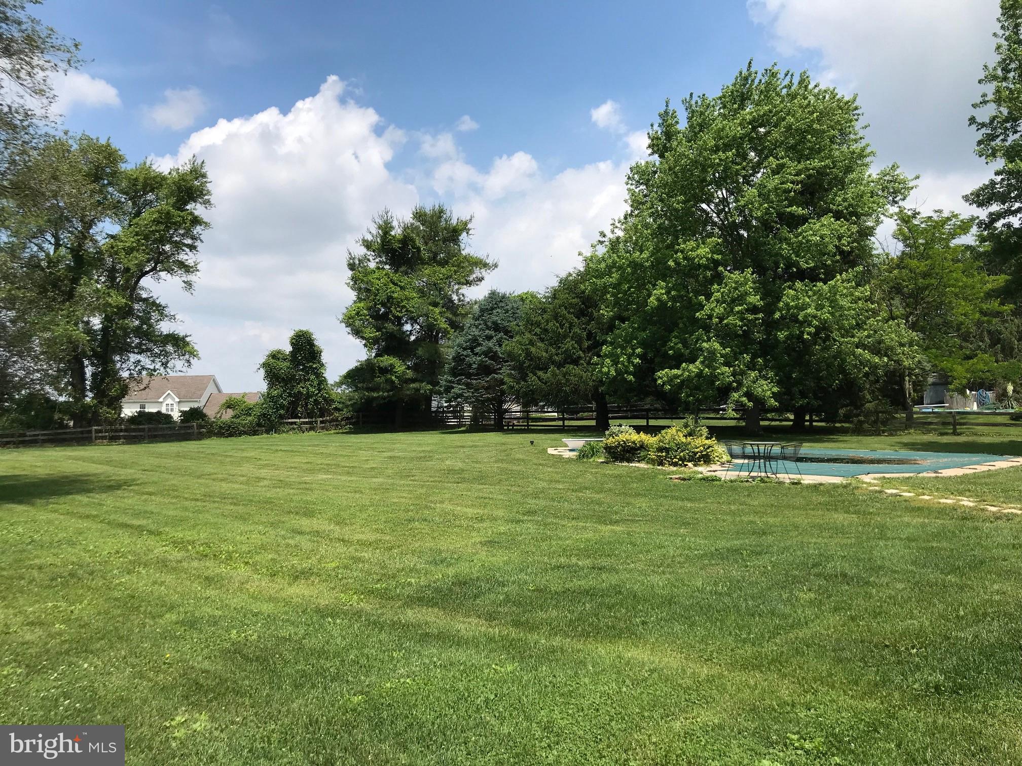 Beautiful Back Yard