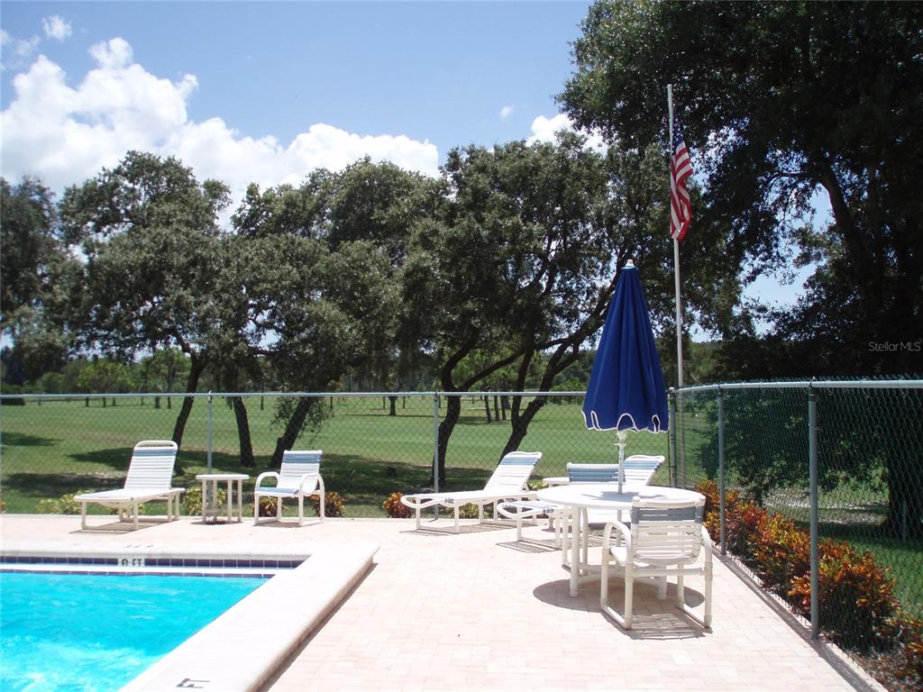 1716 Golf View Drive, Unit 1716 Tarpon Springs, FL 34689 - Photo 25 of 32 a view of a backyard