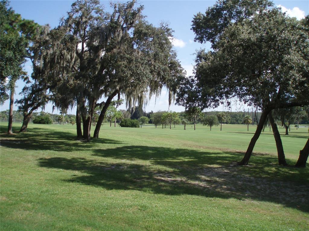 1716 Golf View Drive, Unit 1716 Tarpon Springs, FL 34689 - Photo 5 of 32 a view of a park with large trees