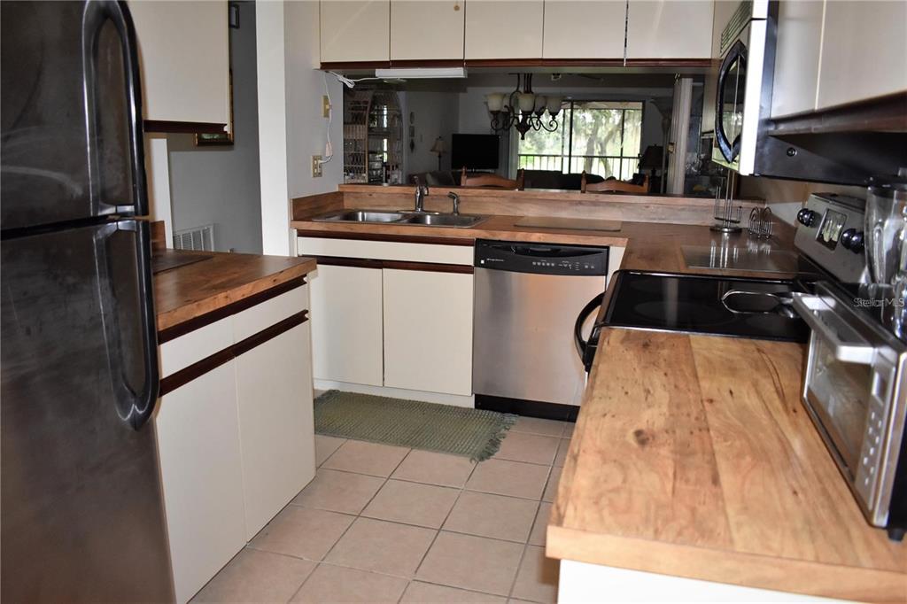 1716 Golf View Drive, Unit 1716 Tarpon Springs, FL 34689 - Photo 9 of 32