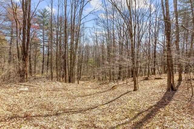 $313,500 | 0 Cauterskill Road, Catskill, NY 12414