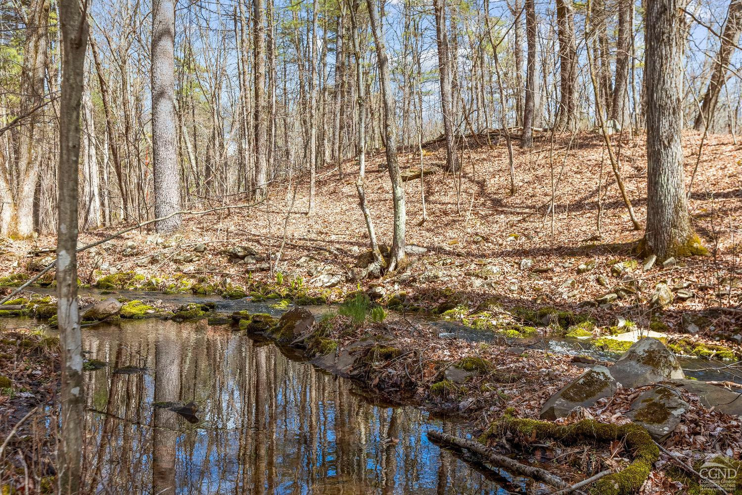 0 Cauterskill Road Catskill, NY 12414 - Photo 6 of 12