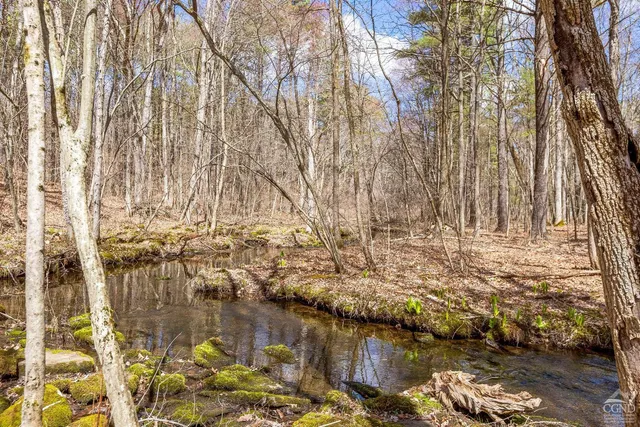 $313,500 | 0 Cauterskill Road, Catskill, NY 12414