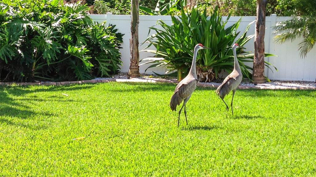 1220 Lake Highview Lane Brandon, FL 33510 - Photo 36 of 43