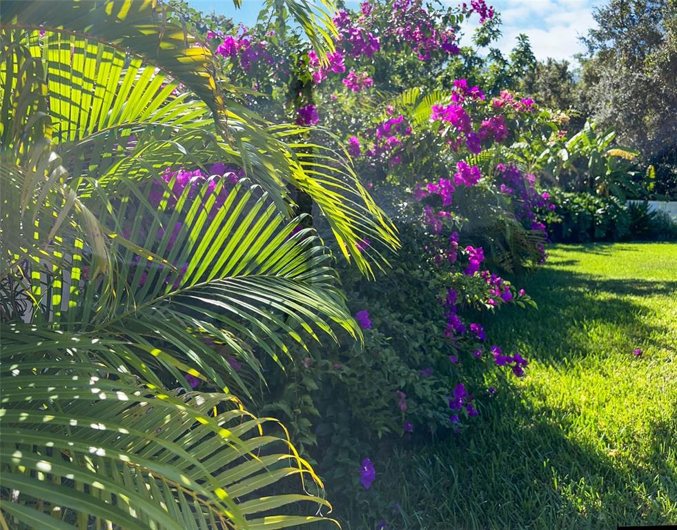 1220 Lake Highview Lane Brandon, FL 33510 - Photo 37 of 43