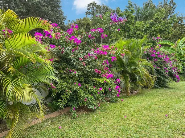 a view of a flower garden in a backyard