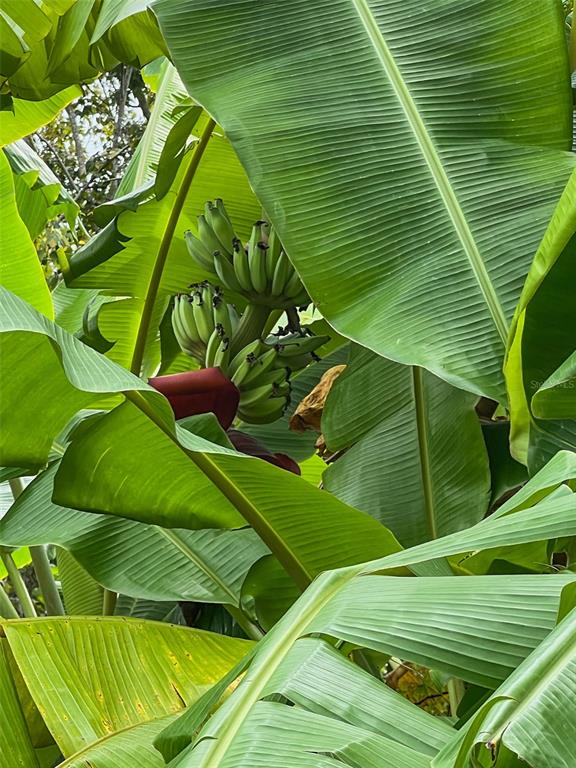 1220 Lake Highview Lane Brandon, FL 33510 - Photo 39 of 43