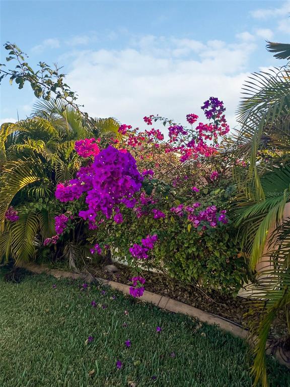 1220 Lake Highview Lane Brandon, FL 33510 - Photo 40 of 43