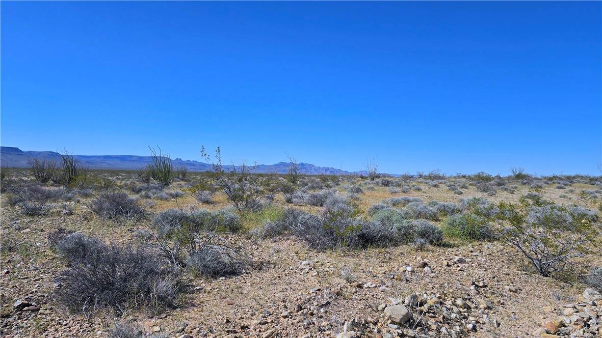 208-21-166 South Akchin Road Yucca, AZ 86438 - Photo 10 of 16 a view of a dry field with trees in the background