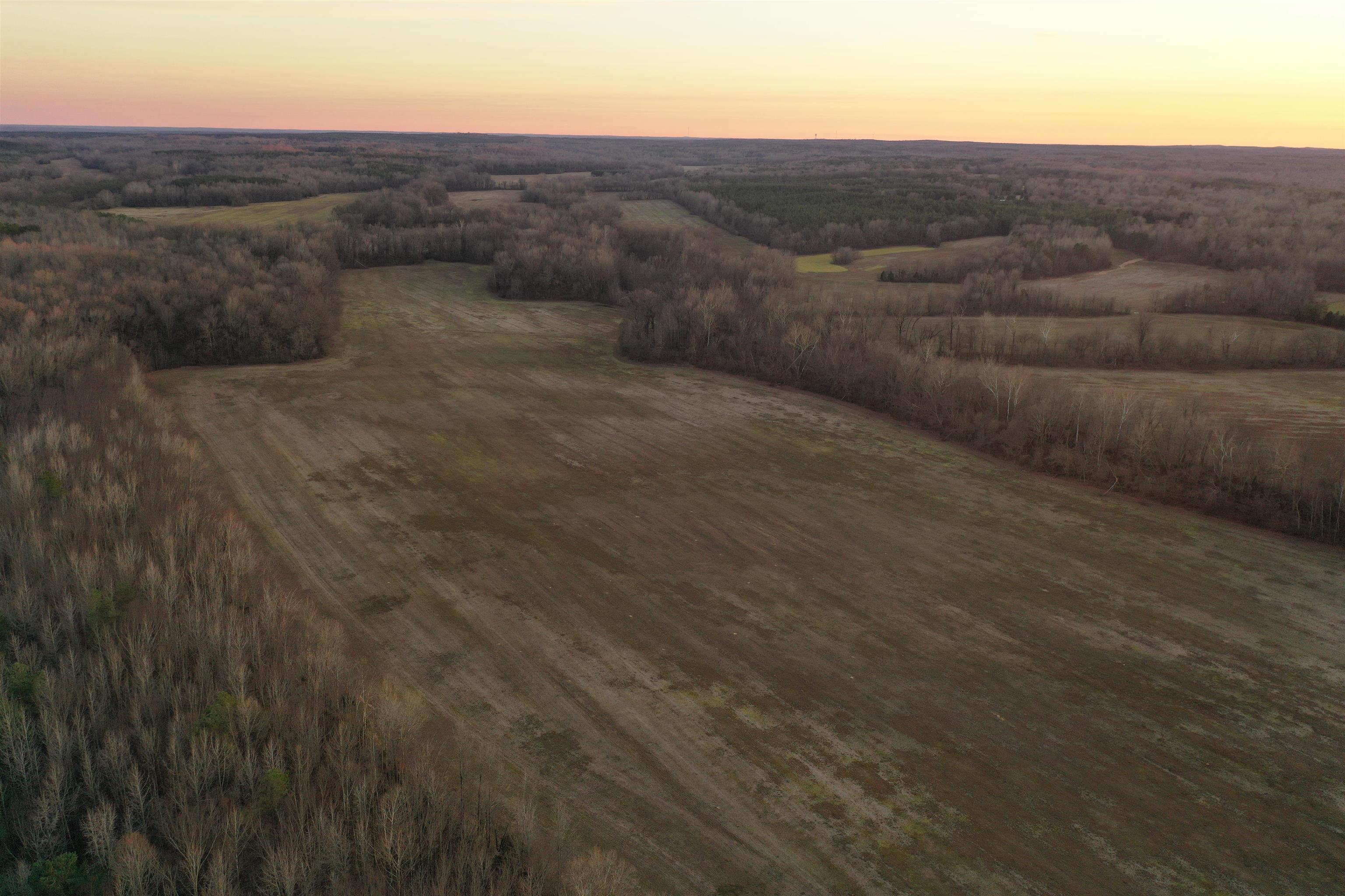 0 Marianna Road Holly Springs, MS 38635 - Photo 11 of 36 a view of a dry yard