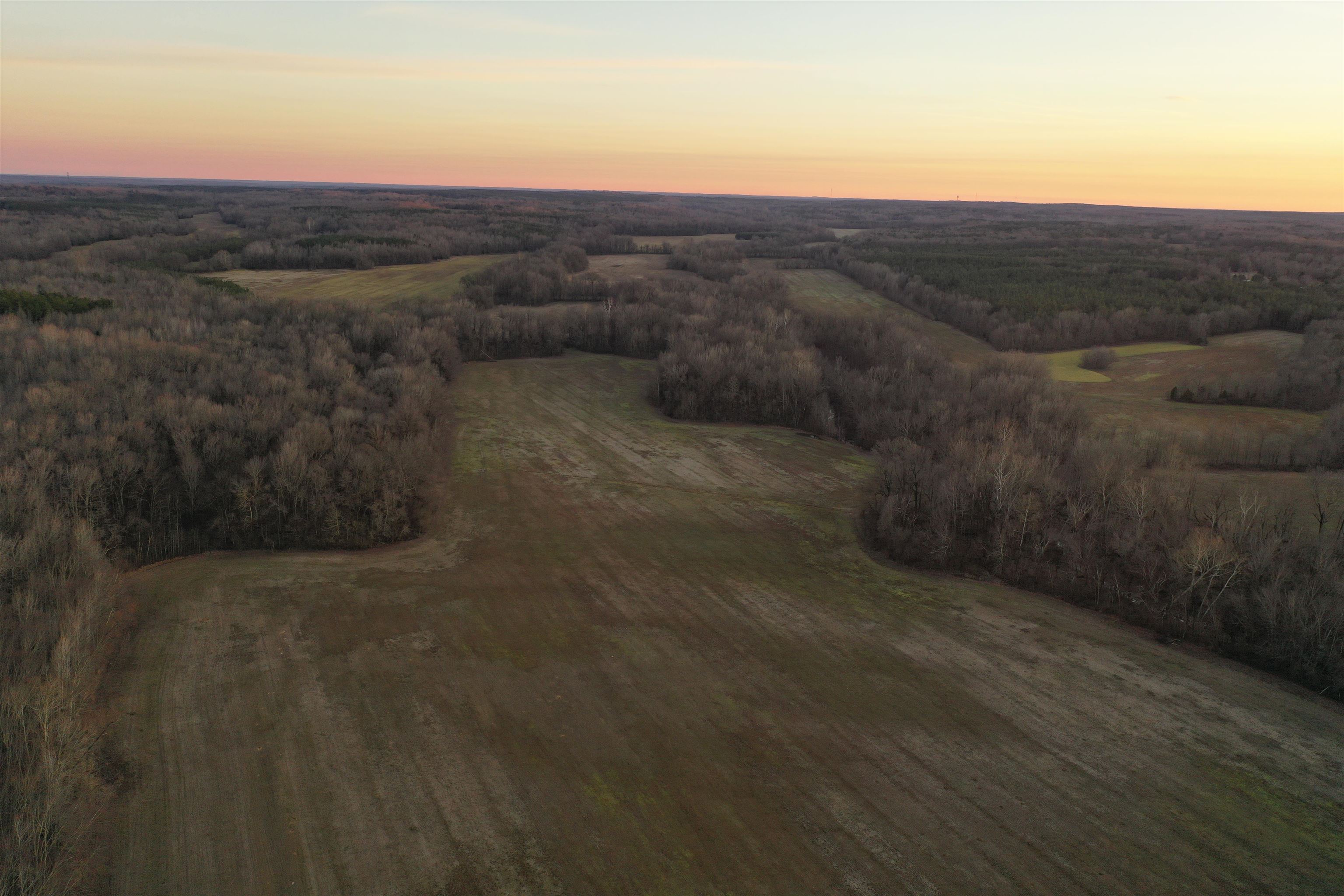 0 Marianna Road Holly Springs, MS 38635 - Photo 12 of 36 a view of a dry yard with green space