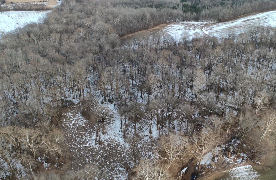 0 Marianna Road Holly Springs, MS 38635 - Photo 25 of 36 a view of a dry yard