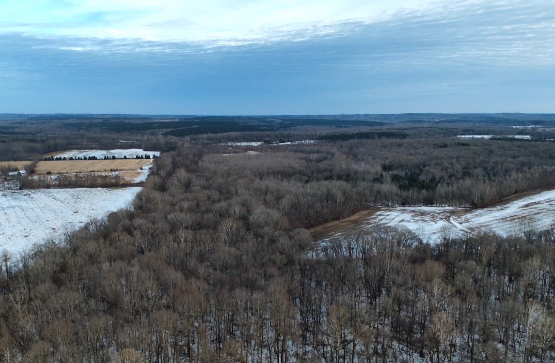 0 Marianna Road Holly Springs, MS 38635 - Photo 26 of 36 a view of a dry yard with wooden floor and fence