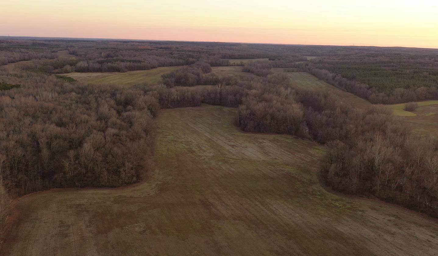 0 Marianna Road Holly Springs, MS 38635 - Photo 29 of 36 a view of a dry yard