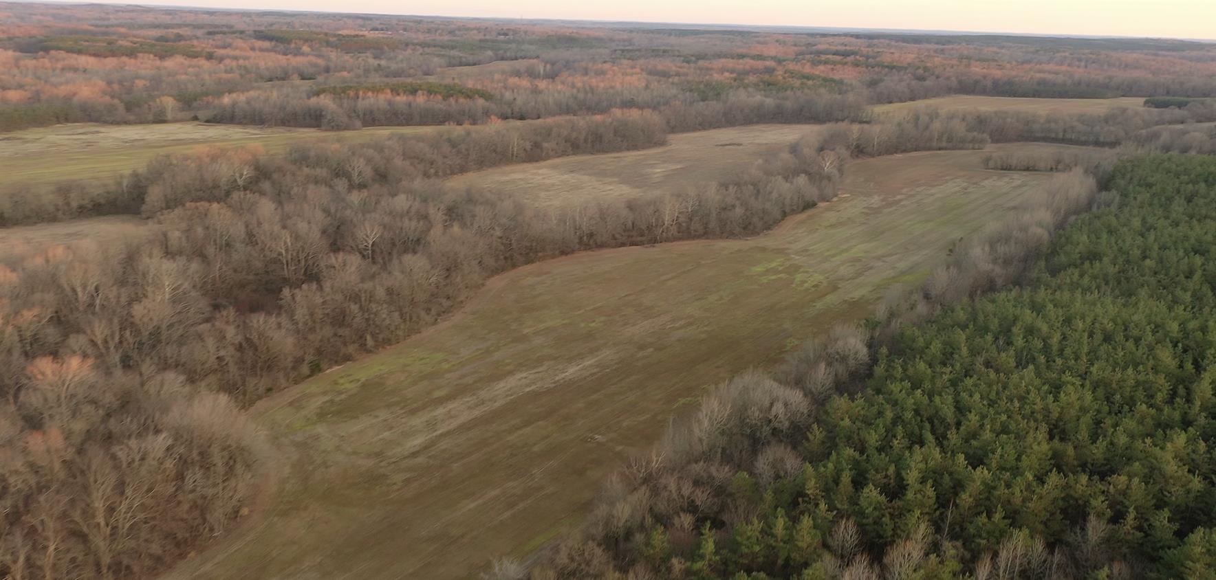 0 Marianna Road Holly Springs, MS 38635 - Photo 30 of 36 a view of a dry yard