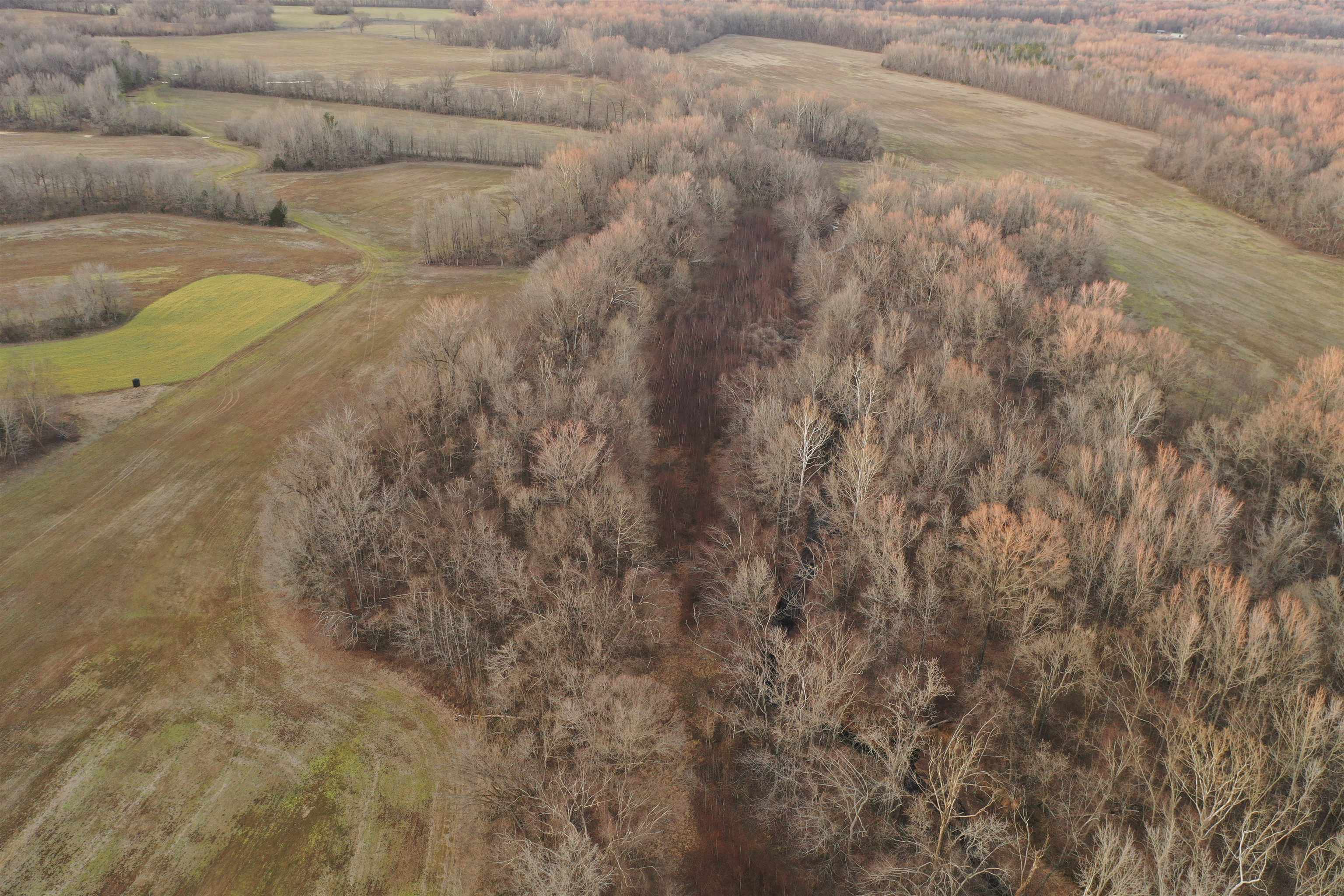 0 Marianna Road Holly Springs, MS 38635 - Photo 3 of 36