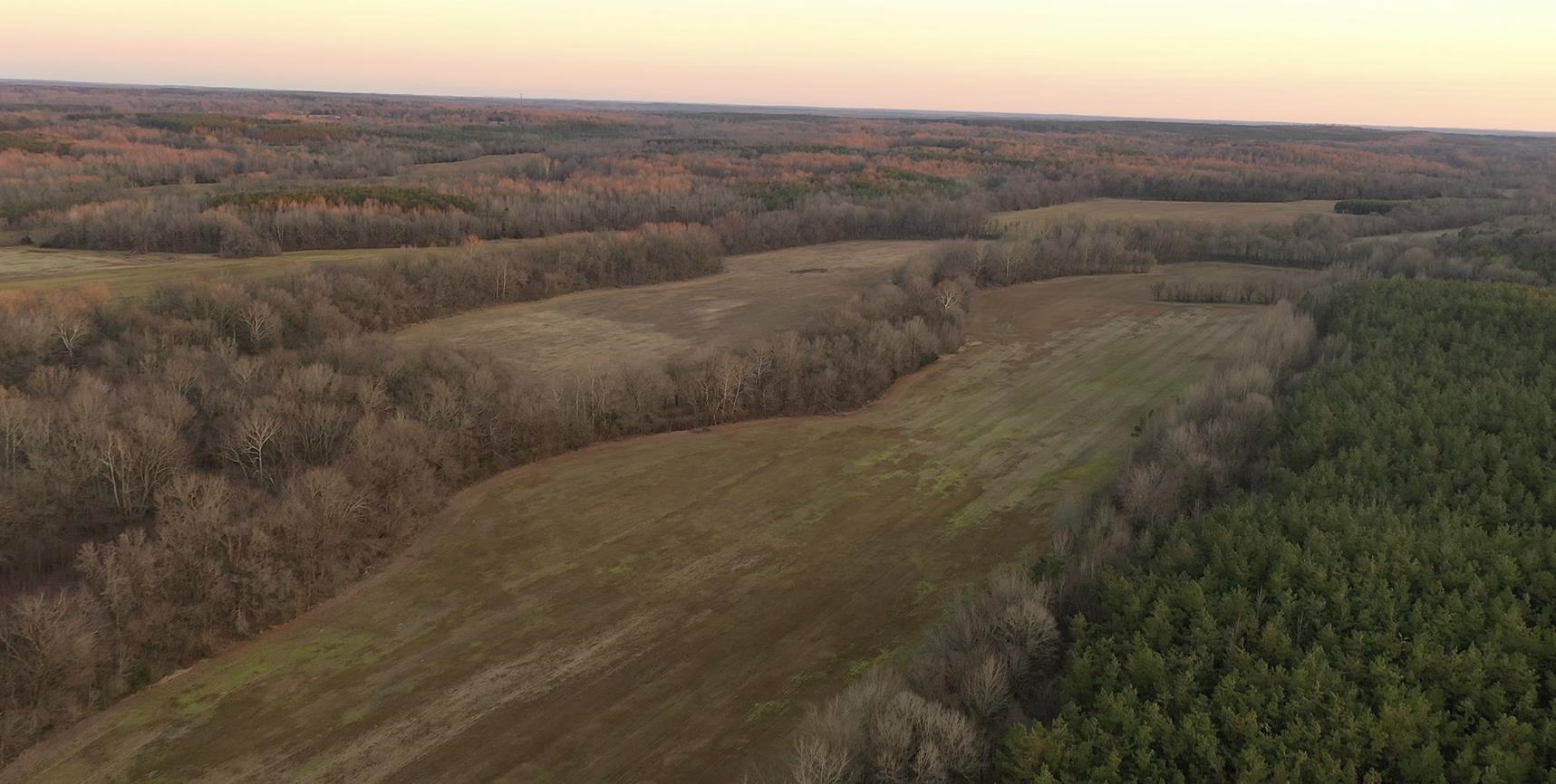 0 Marianna Road Holly Springs, MS 38635 - Photo 31 of 36 a view of a dry yard with green space