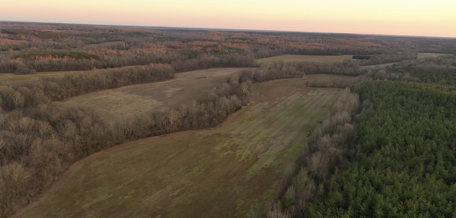 0 Marianna Road Holly Springs, MS 38635 - Photo 32 of 36 a view of a dry yard with green space