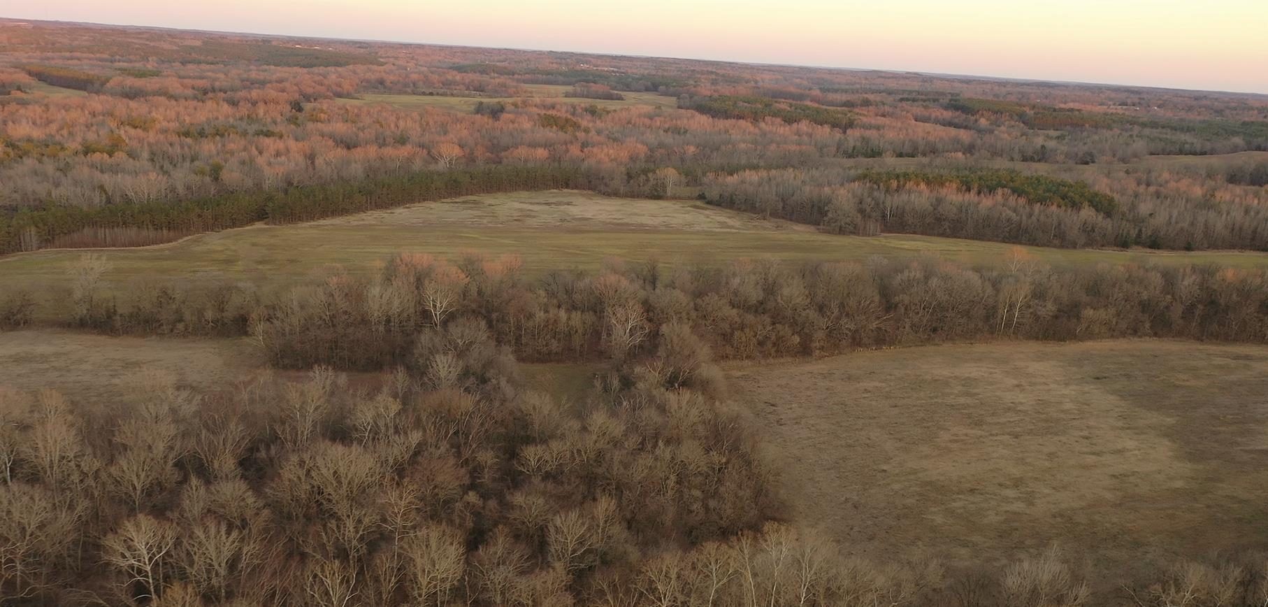 0 Marianna Road Holly Springs, MS 38635 - Photo 33 of 36 a view of a dry yard