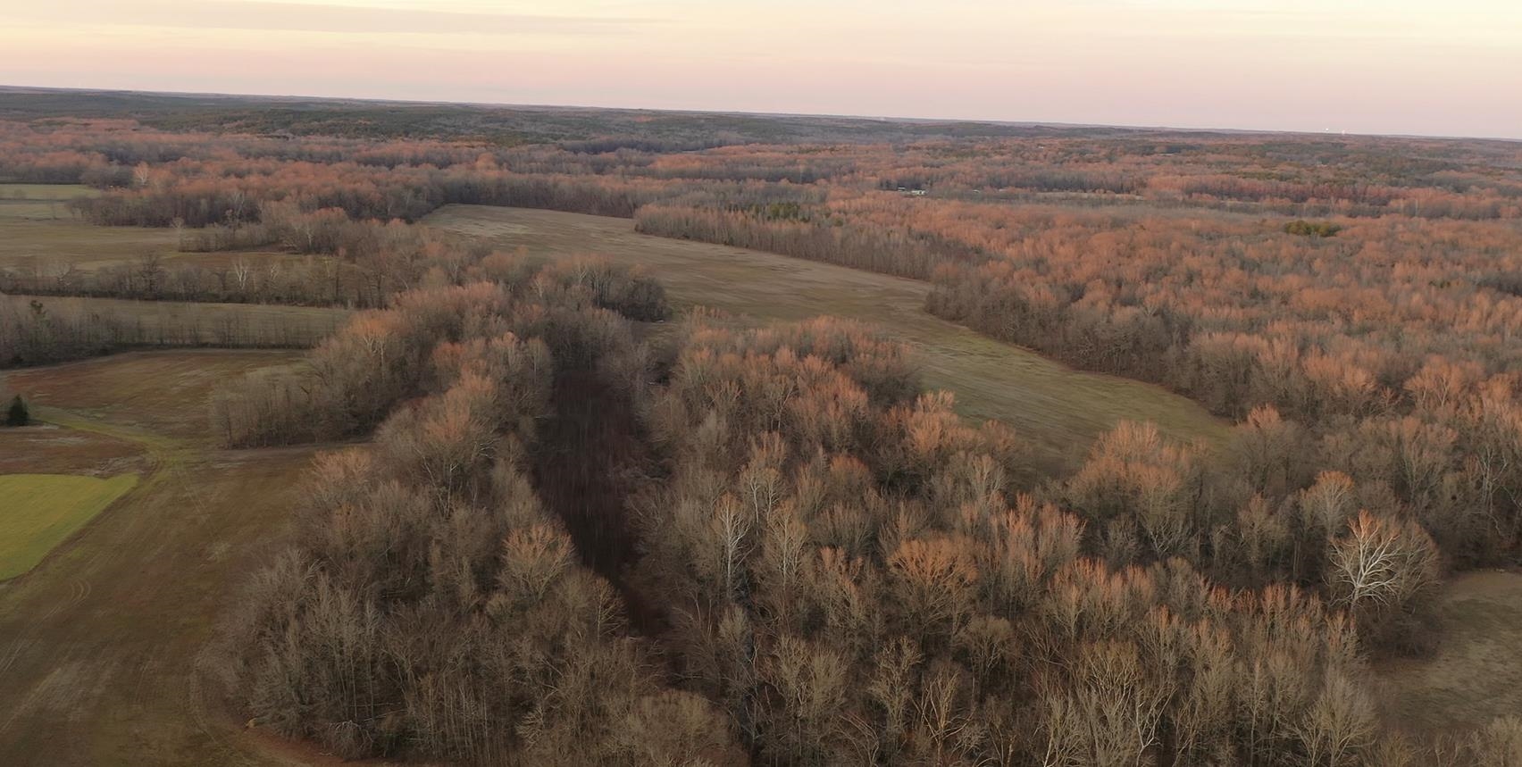 0 Marianna Road Holly Springs, MS 38635 - Photo 34 of 36