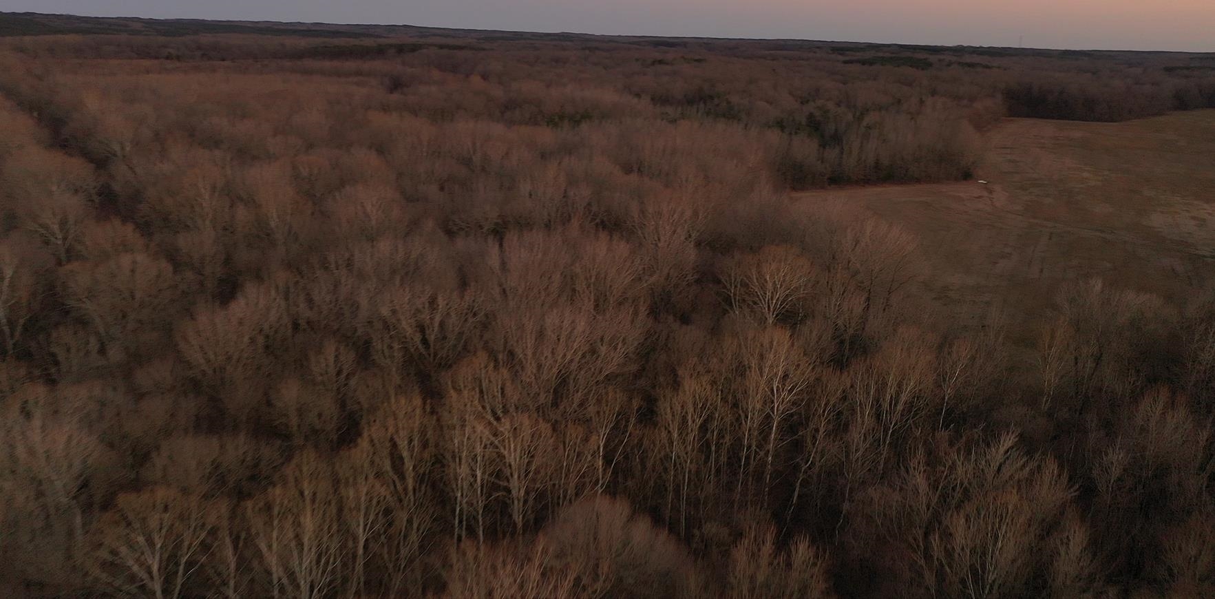 0 Marianna Road Holly Springs, MS 38635 - Photo 35 of 36