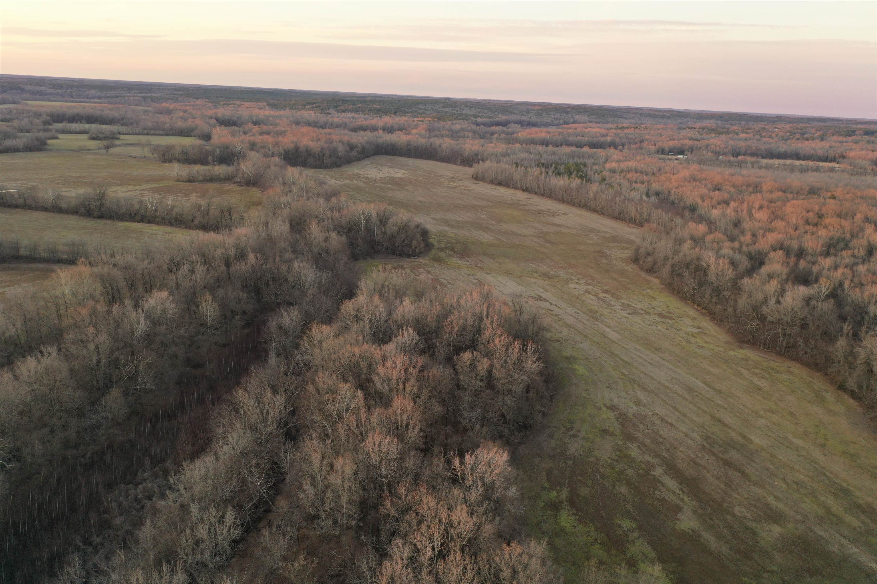 0 Marianna Road Holly Springs, MS 38635 - Photo 5 of 36