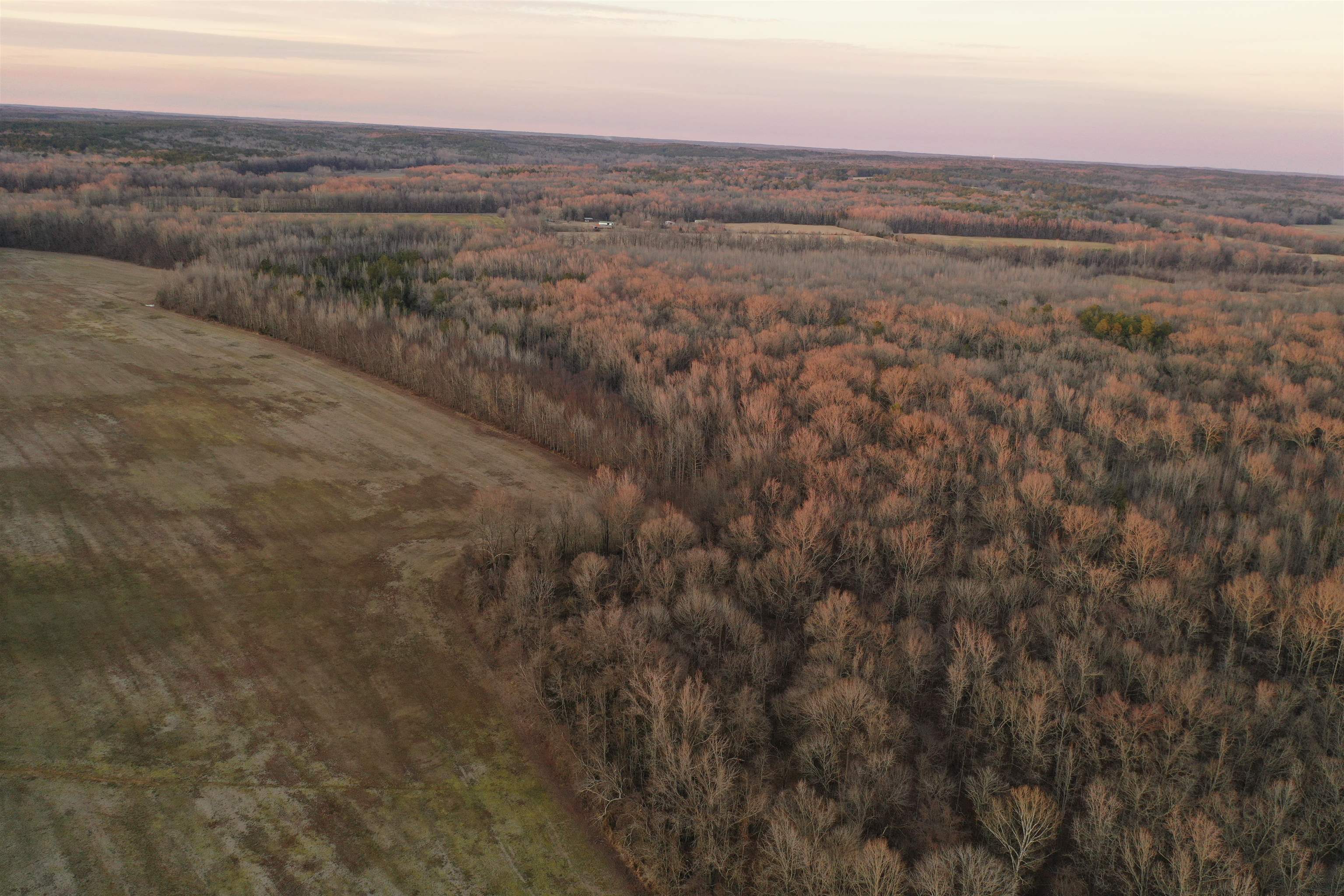 0 Marianna Road Holly Springs, MS 38635 - Photo 6 of 36 a view of an ocean beach