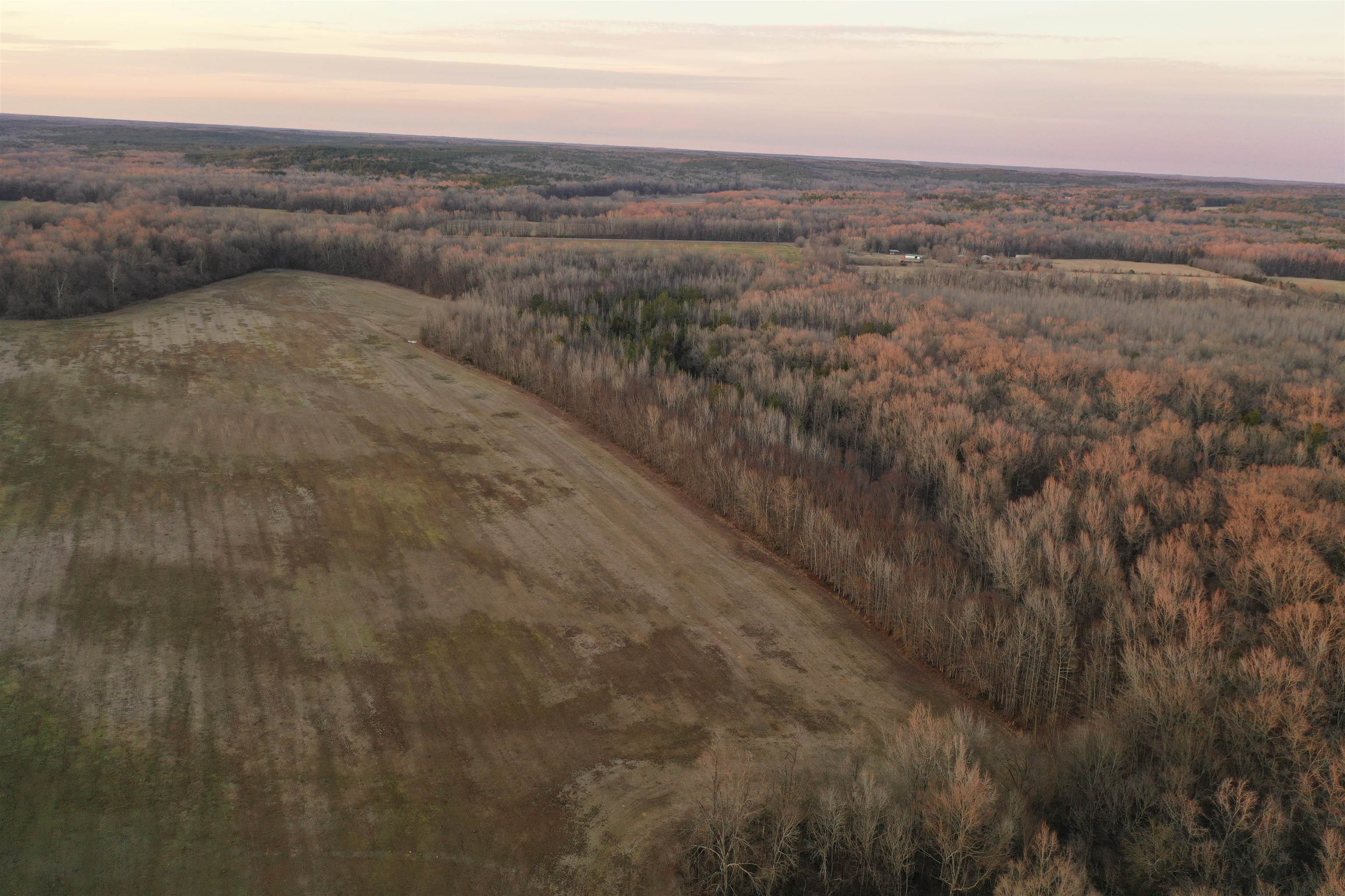 0 Marianna Road Holly Springs, MS 38635 - Photo 7 of 36