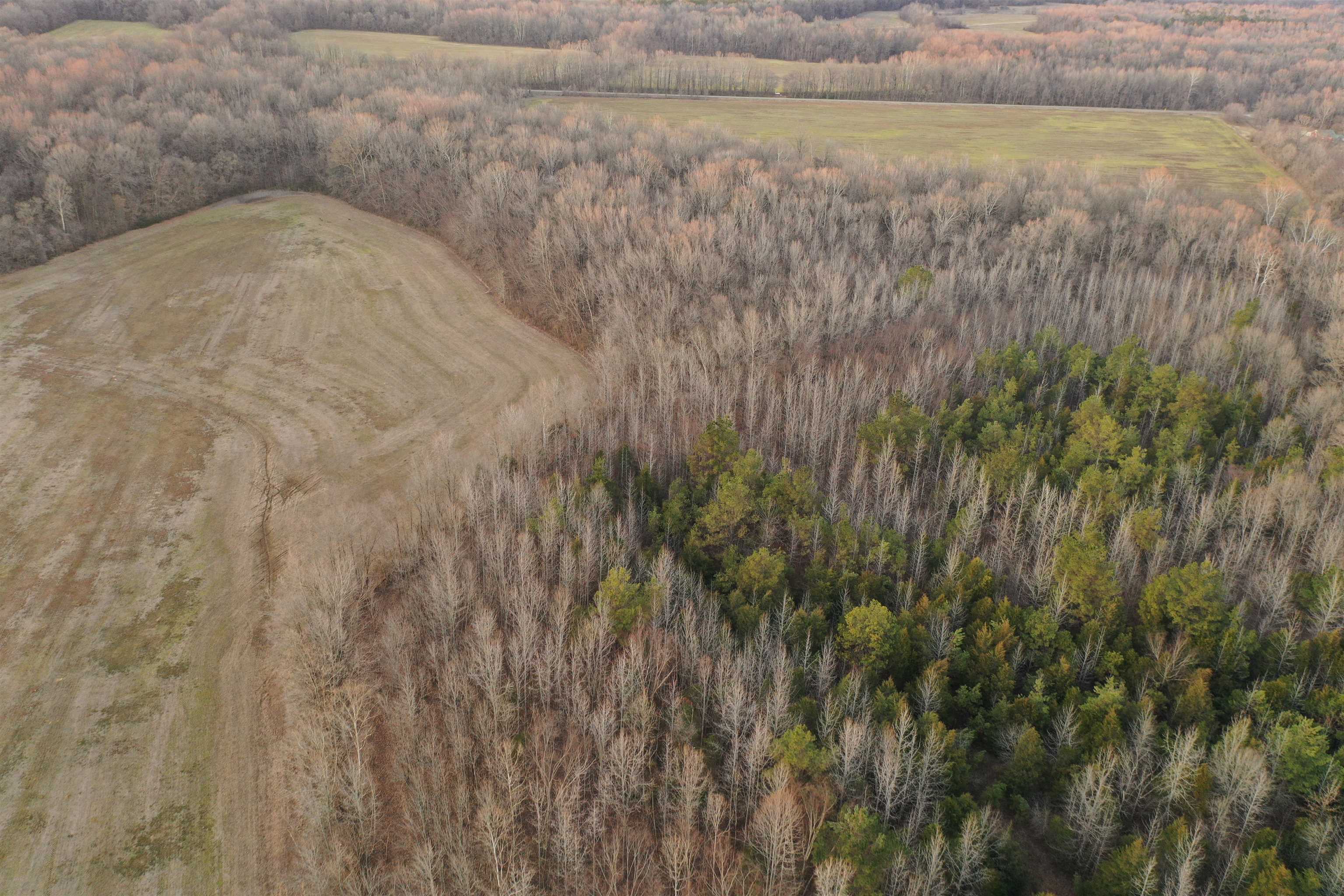 0 Marianna Road Holly Springs, MS 38635 - Photo 9 of 36