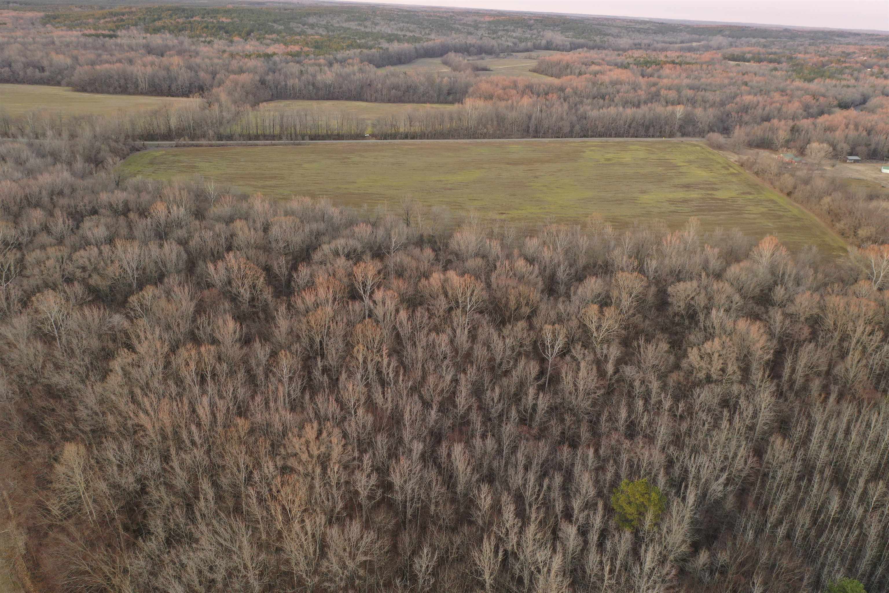 0 Marianna Road Holly Springs, MS 38635 - Photo 10 of 36 a view of a dry grass field