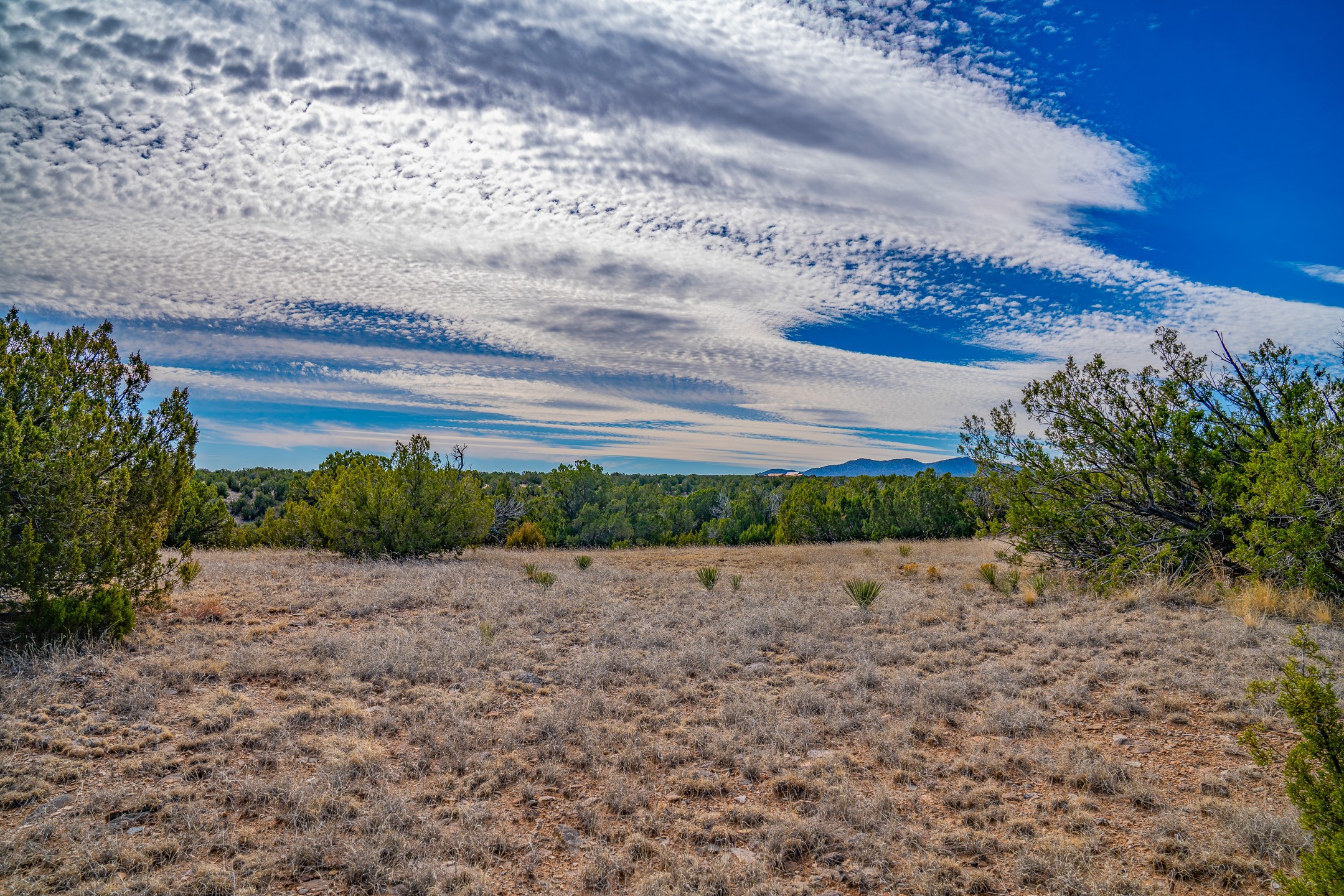 65 Grenfell Ranch Road Cerrillos, NM 87010 - Photo 23 of 46